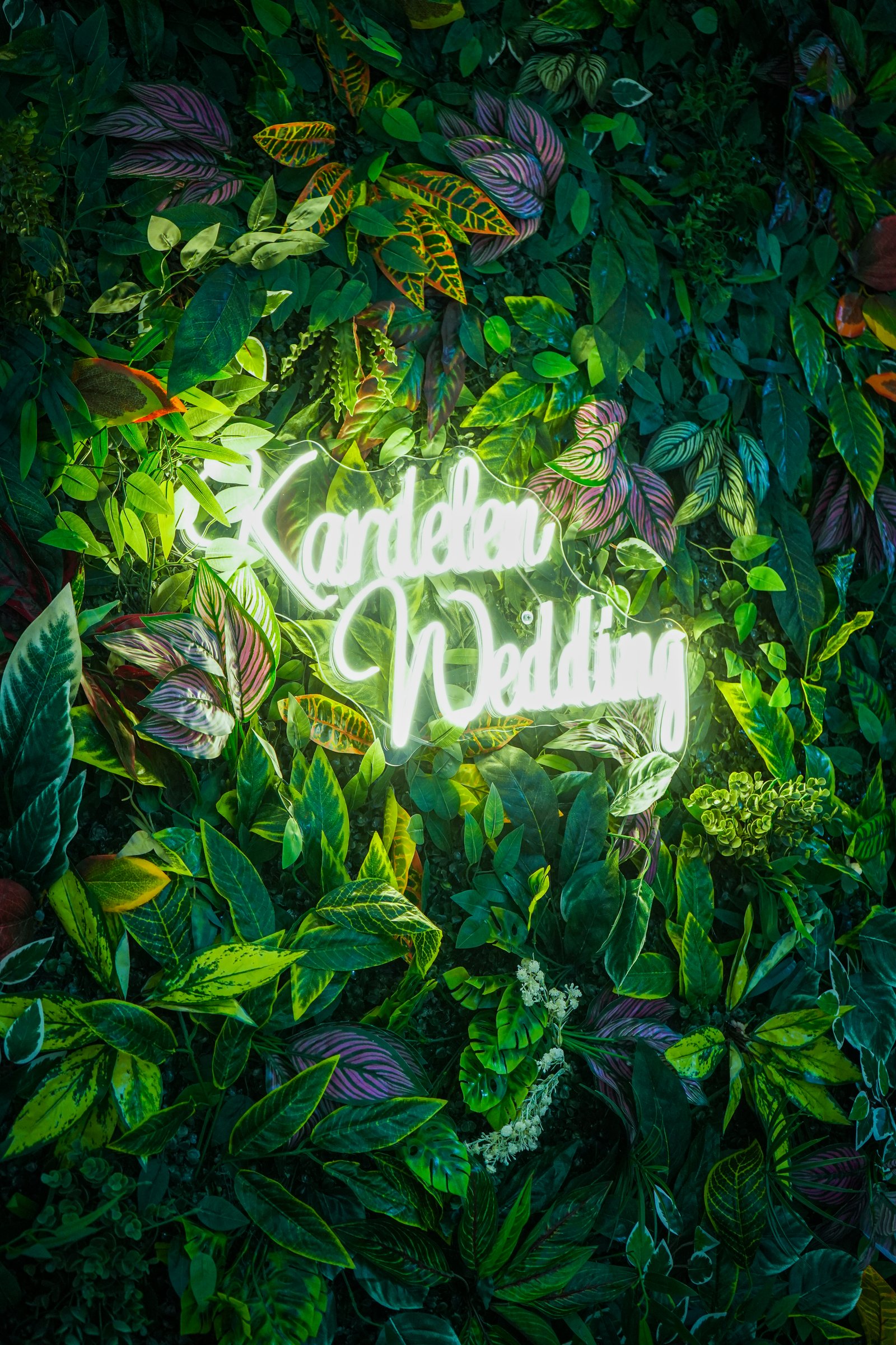 Kayaş Kardelen Düğün Salonu 2026 İndirim Reklamı - Fotoğraf 15